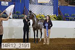14r12_2191 proof