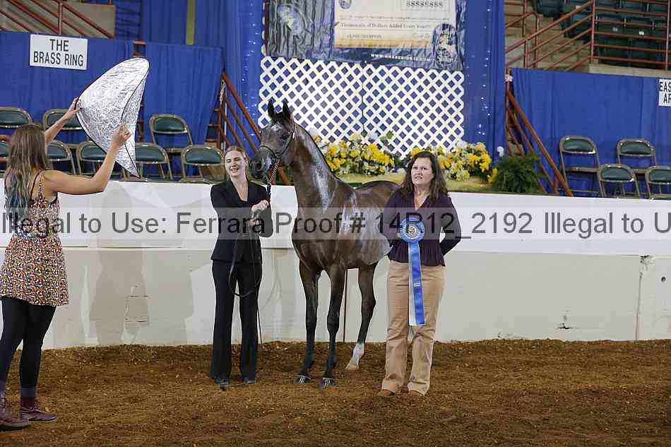 Proof 14r12_2192