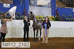 14r12_2192 proof