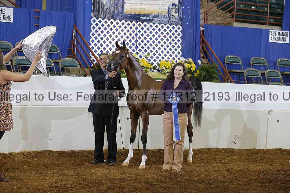 Proof 14r12_2193