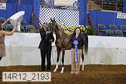 14r12_2193 proof