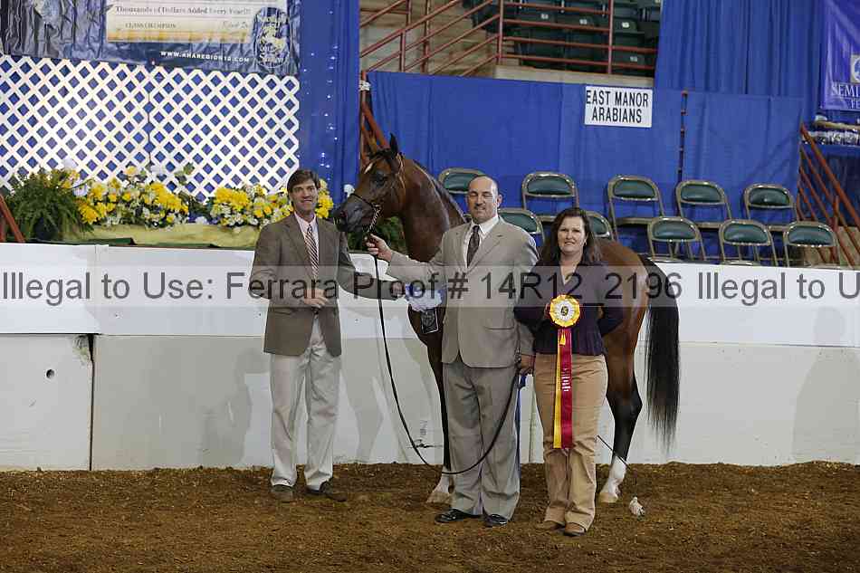 Proof 14r12_2196