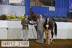 14r12_2196 proof