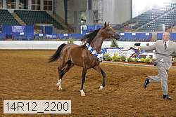 14r12_2200 proof