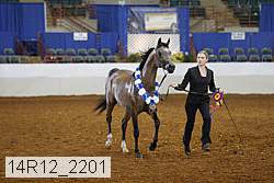 14r12_2201 proof
