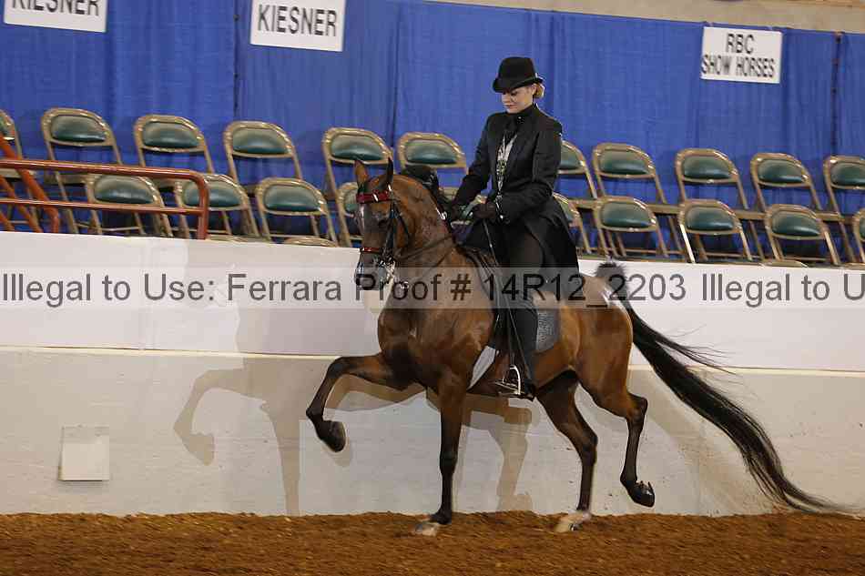 Proof 14r12_2203