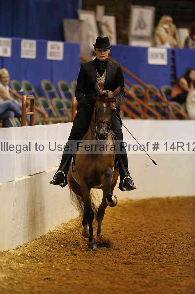 Proof 14r12_2206