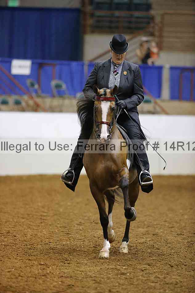Proof 14r12_2207