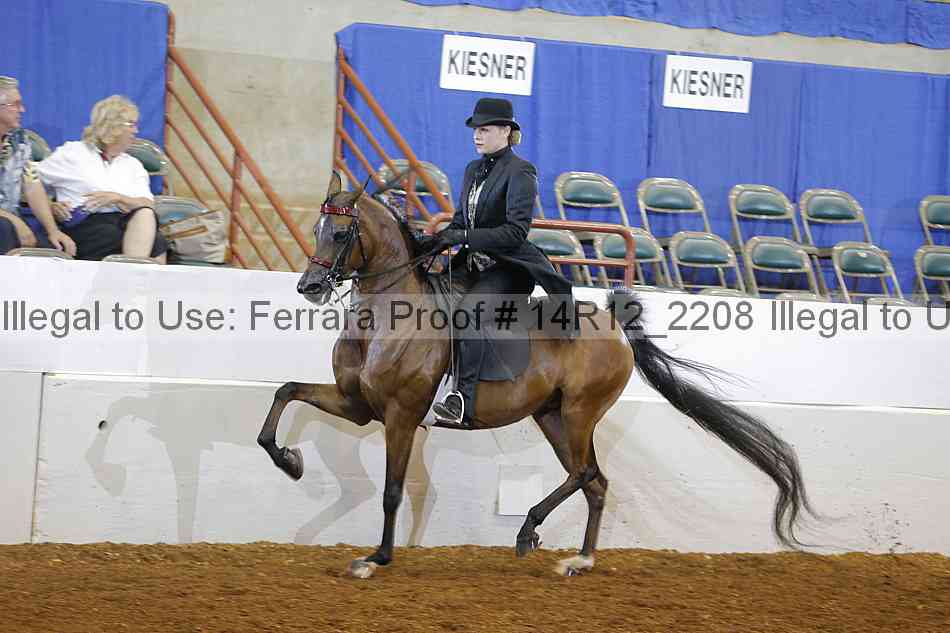 Proof 14r12_2208
