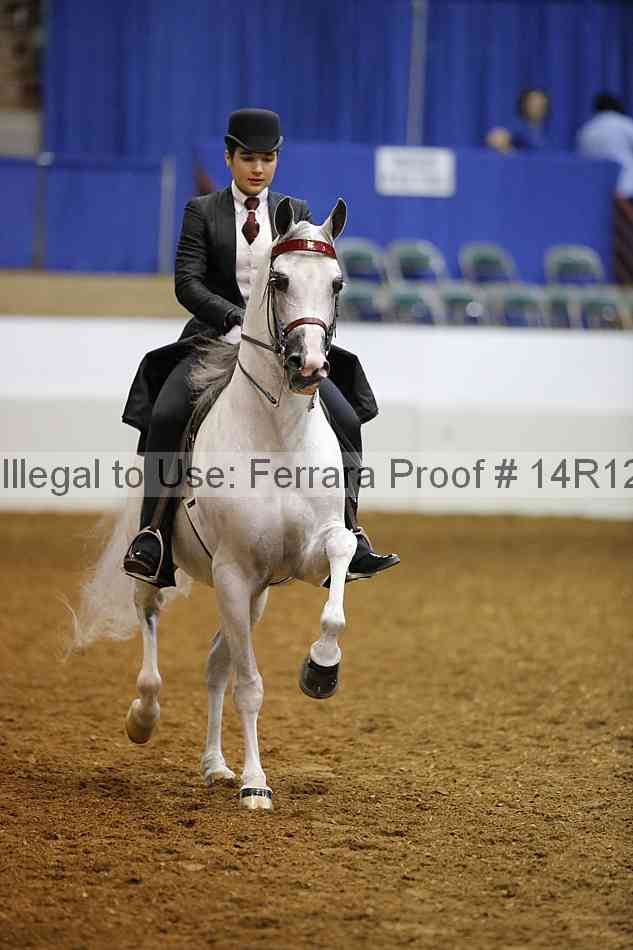Proof 14r12_2209