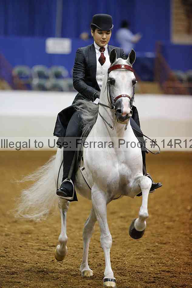 Proof 14r12_2210