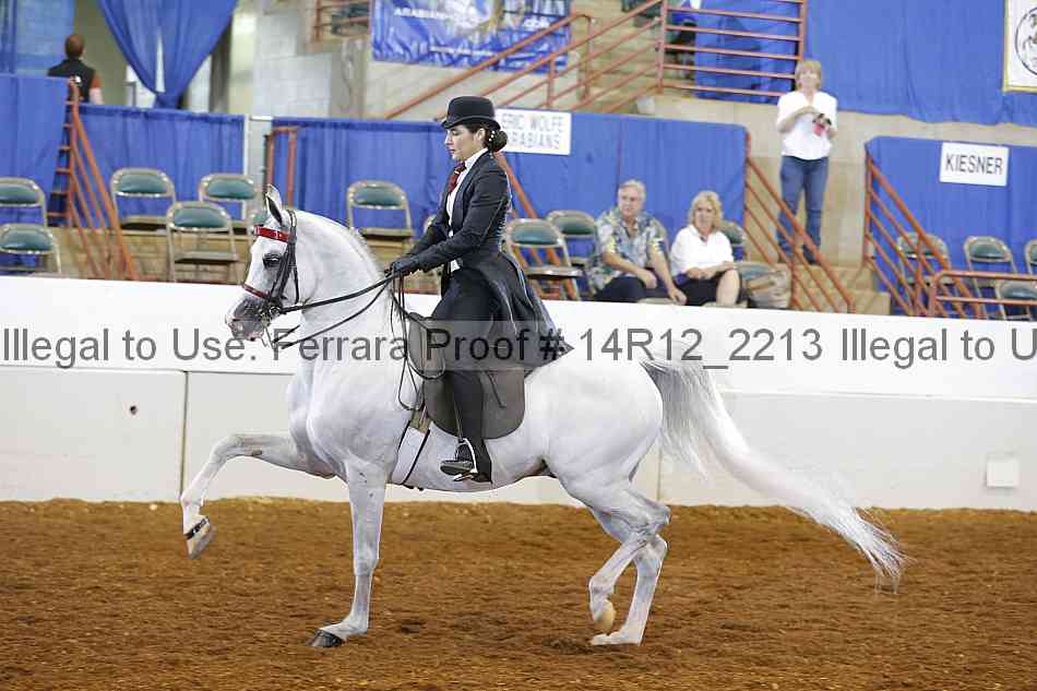 Proof 14r12_2213