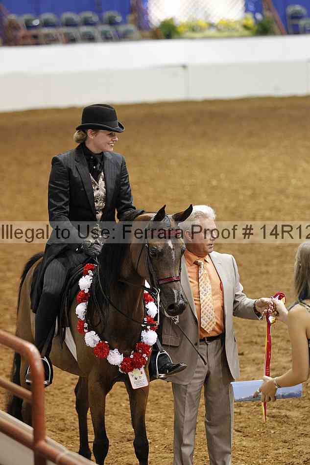 Proof 14r12_2217