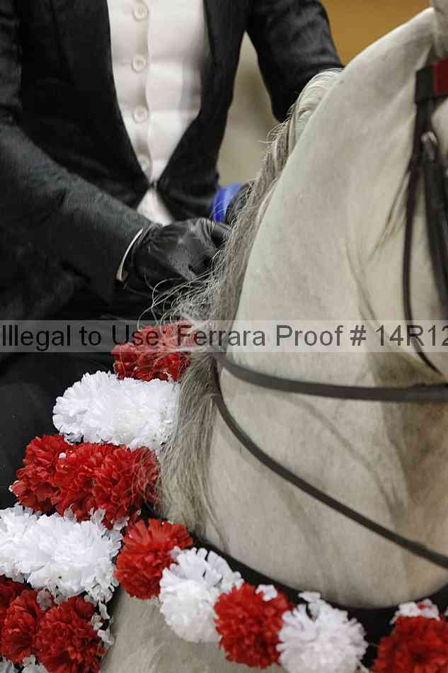 Proof 14r12_2226