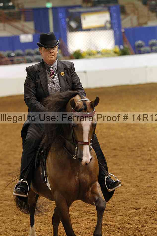 Proof 14r12_2228