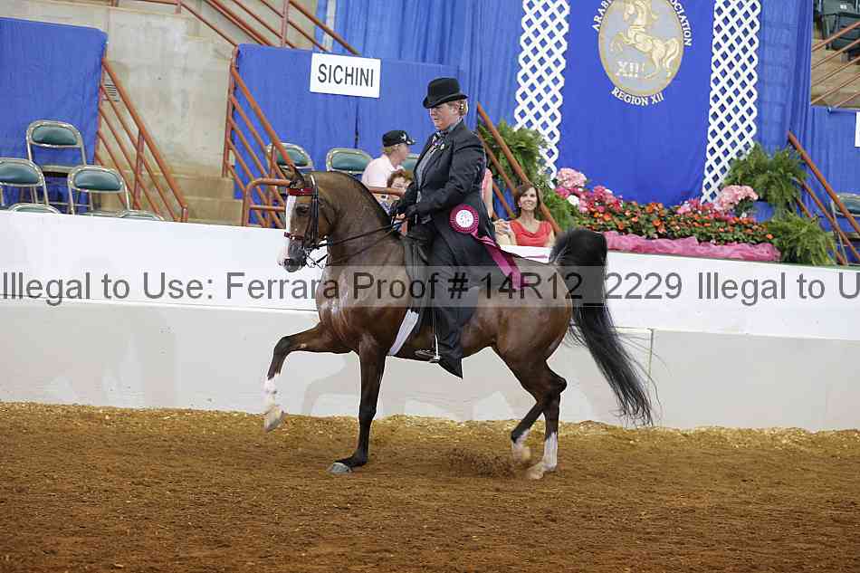 Proof 14r12_2229