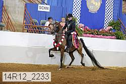 14r12_2233 proof