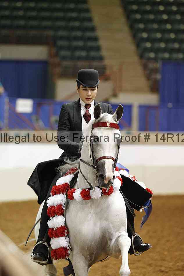 Proof 14r12_2234