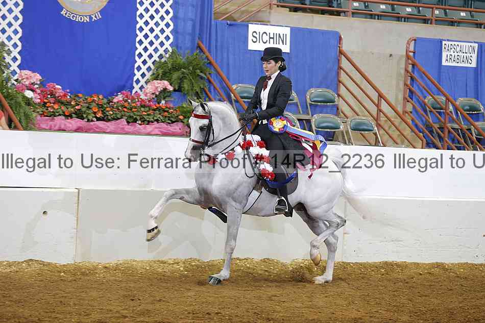 Proof 14r12_2236