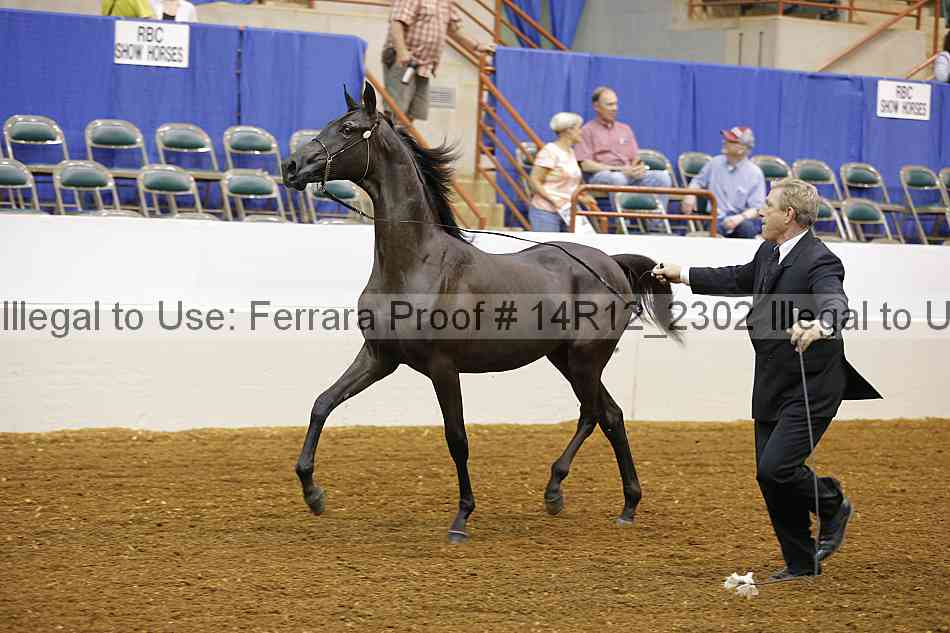 Proof 14r12_2302