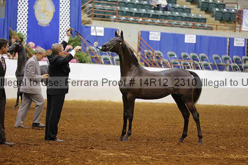 Proof 14r12_2310