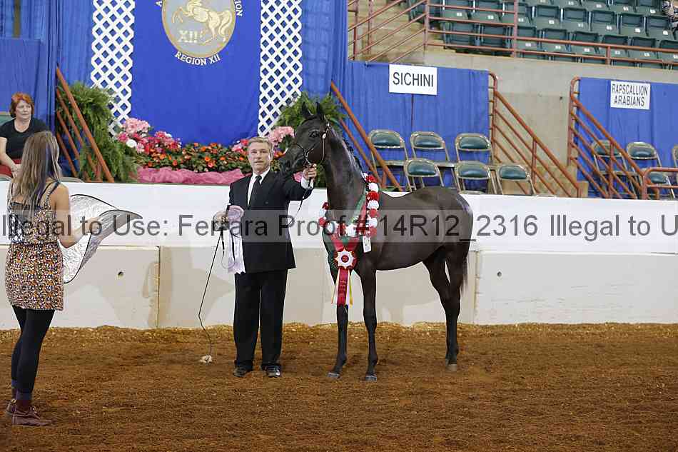 Proof 14r12_2316