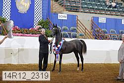 14r12_2319 proof