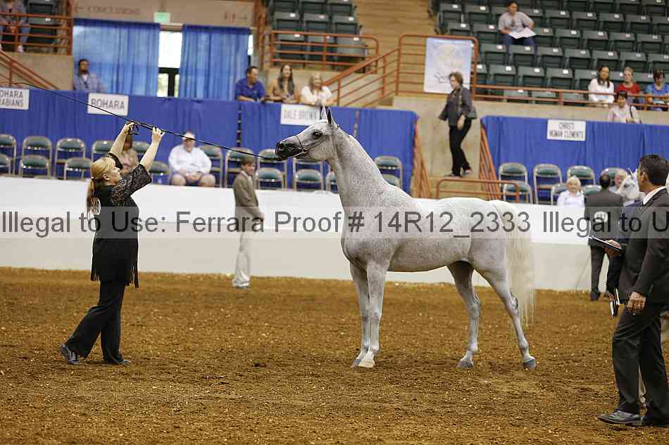 Proof 14r12_2333