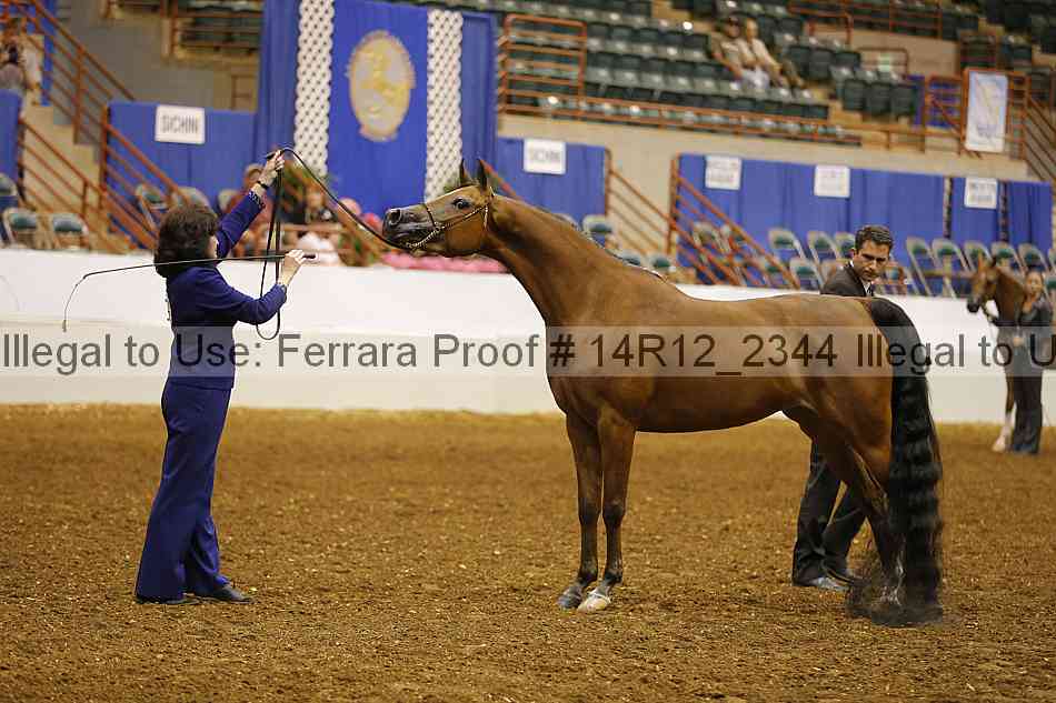 Proof 14r12_2344