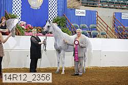14r12_2356 proof