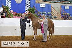 14r12_2357 proof