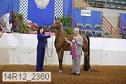 14r12_2360 proof