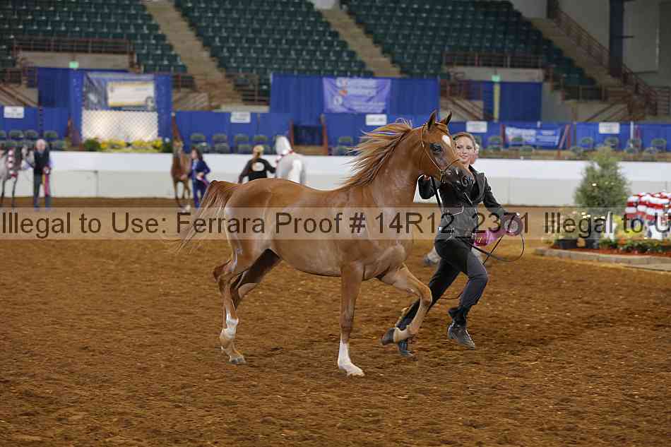 Proof 14r12_2371