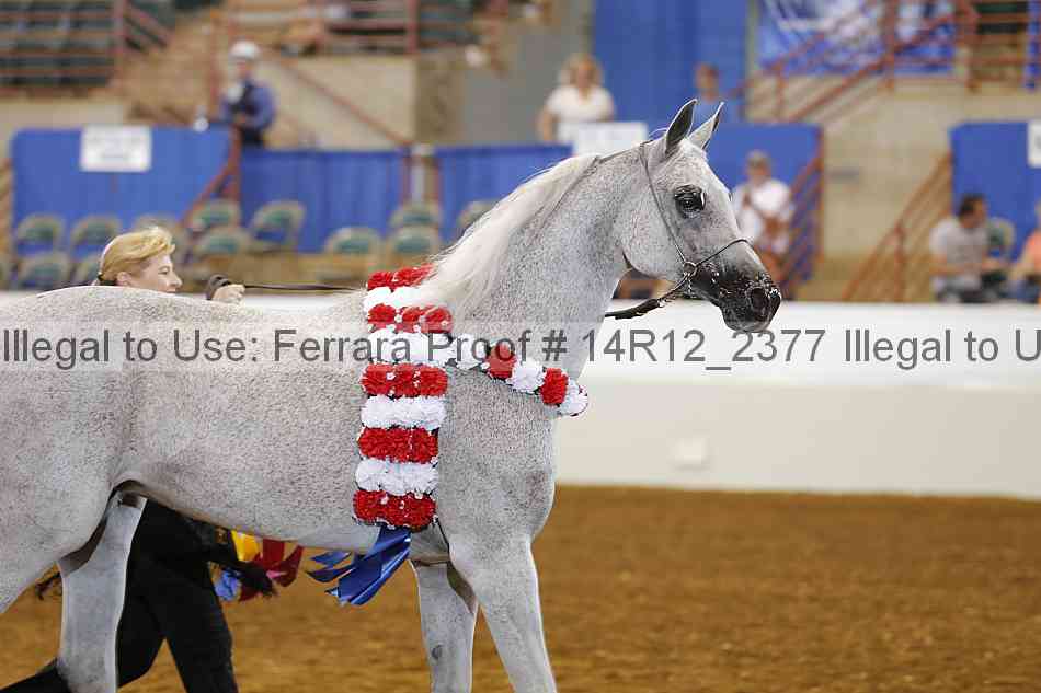 Proof 14r12_2377