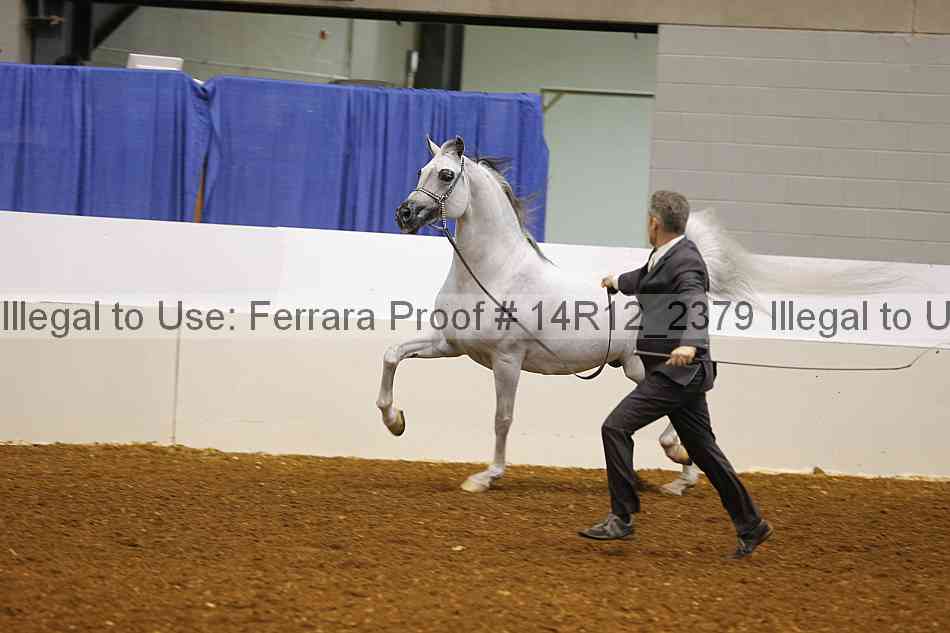 Proof 14r12_2379