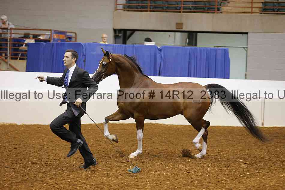 Proof 14r12_2383