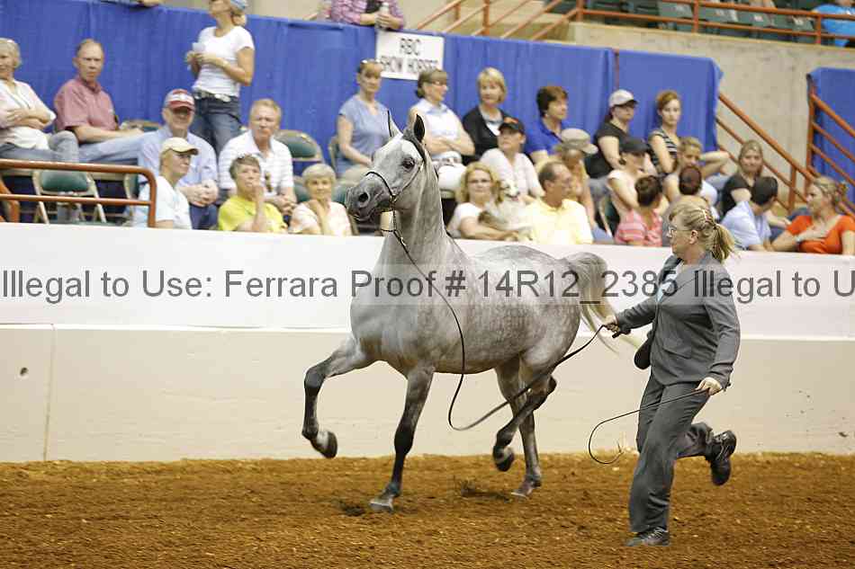 Proof 14r12_2385