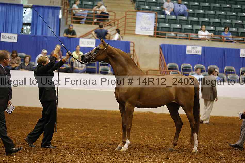 Proof 14r12_2402