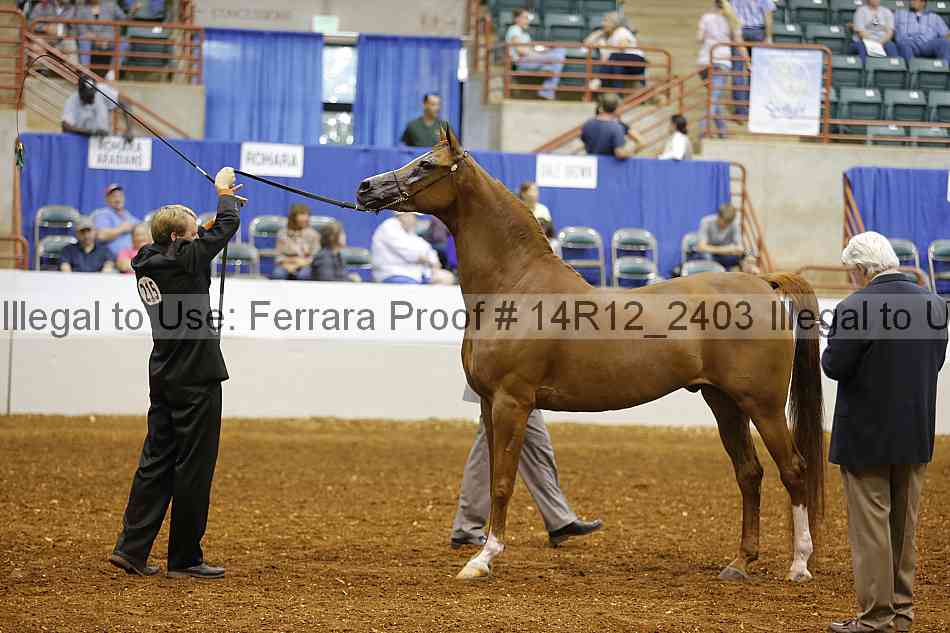 Proof 14r12_2403