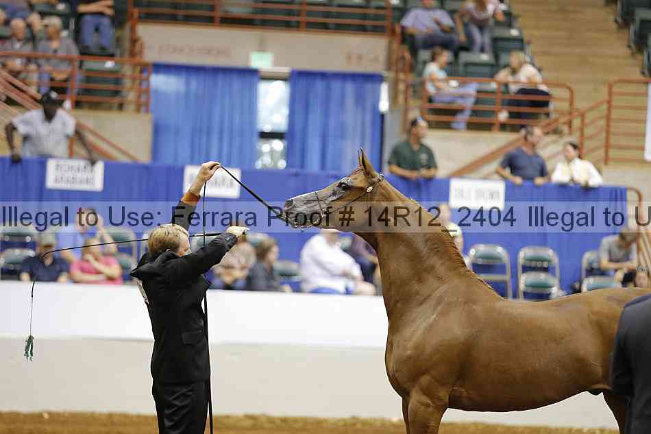Proof 14r12_2404