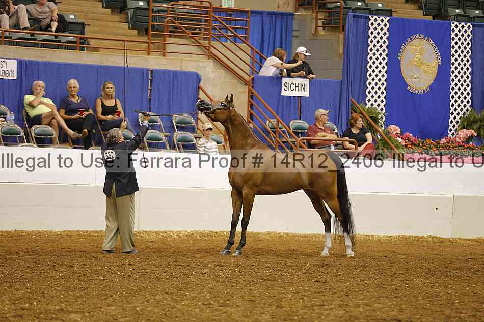 Proof 14r12_2406
