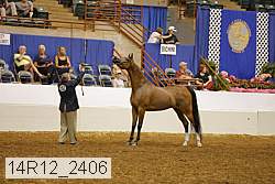 14r12_2406 proof