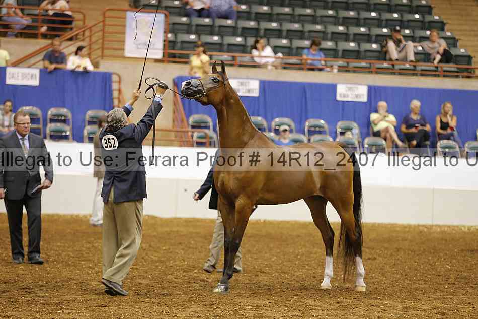 Proof 14r12_2407