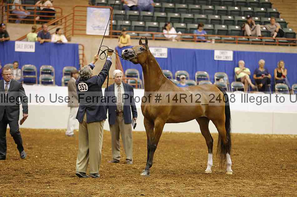 Proof 14r12_2408