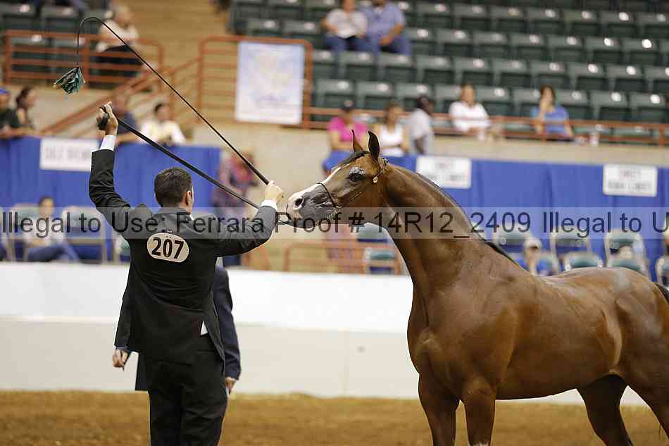 Proof 14r12_2409