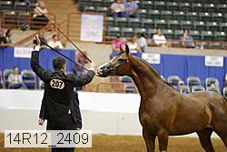 14r12_2409 proof