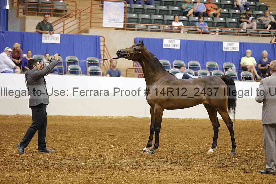 Proof 14r12_2437