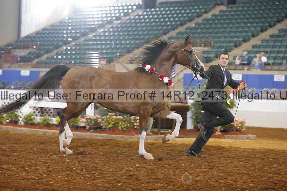 Proof 14r12_2473
