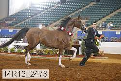 14r12_2473 proof