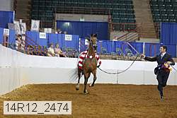 14r12_2474 proof